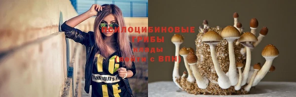 эйфоретик Нефтекумск