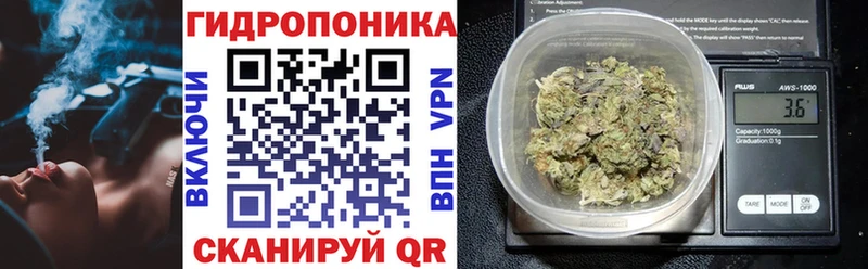 Шишки марихуана марихуана Строитель